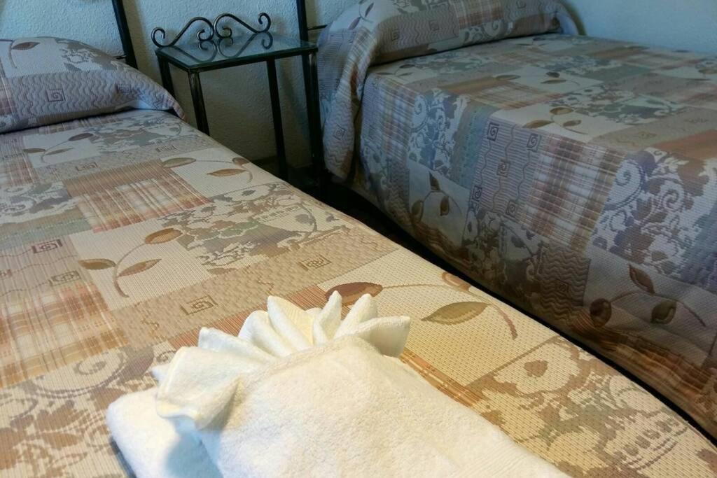Apartamento Al-Zhara, Junto Puente Romano Διαμέρισμα Κόρδοβα Εξωτερικό φωτογραφία